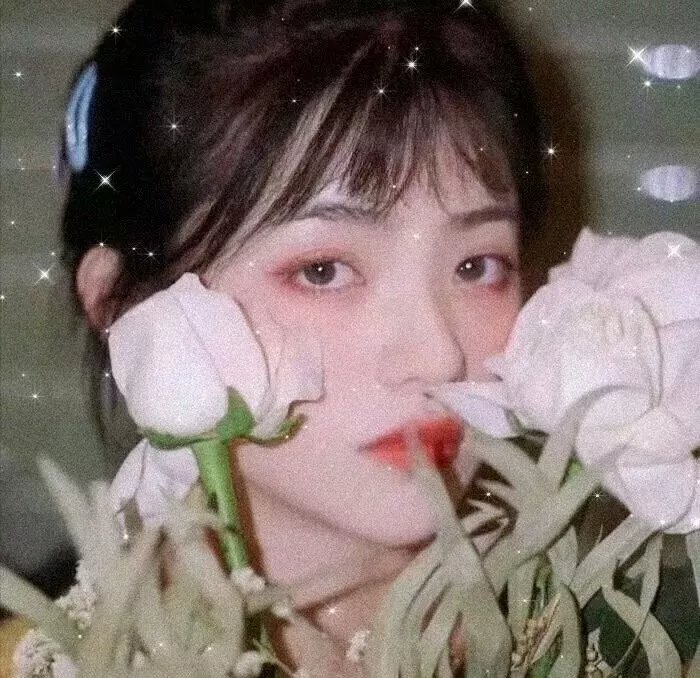 梦醒哈瓦那